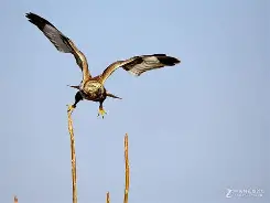 #"]O(驥Ma>踻?uq躛:|儮B溍凉?Q2WtwN?桼糈七 -米兰官网